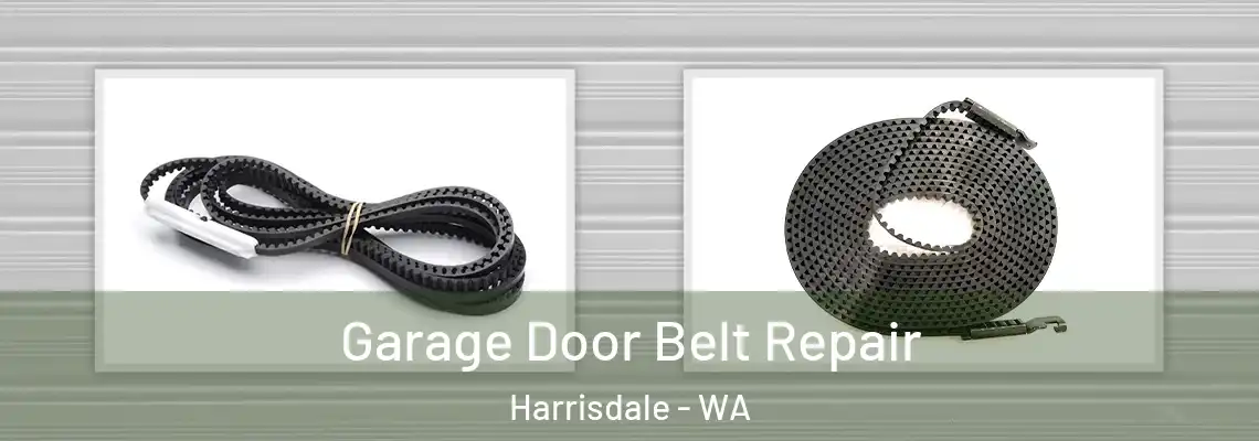 Garage Door Belt Repair Harrisdale - WA