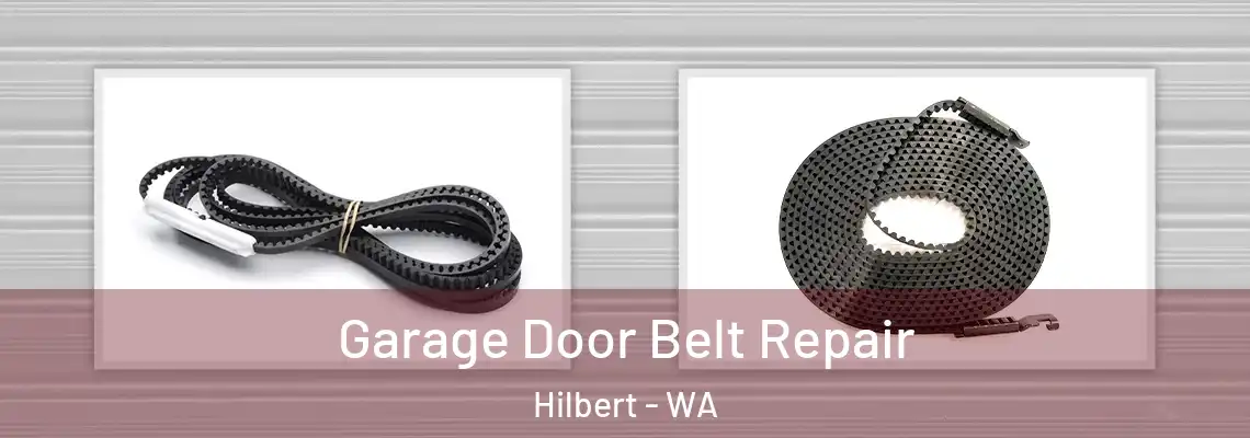 Garage Door Belt Repair Hilbert - WA