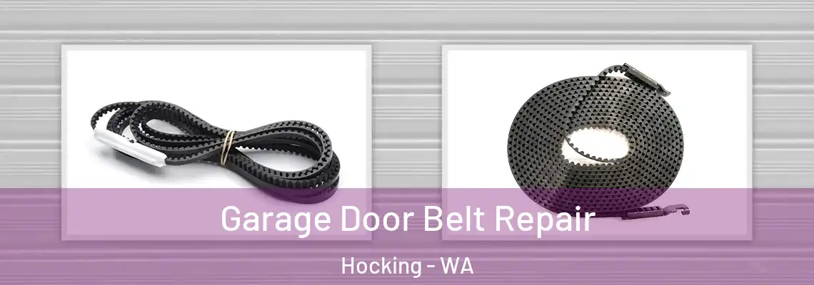 Garage Door Belt Repair Hocking - WA