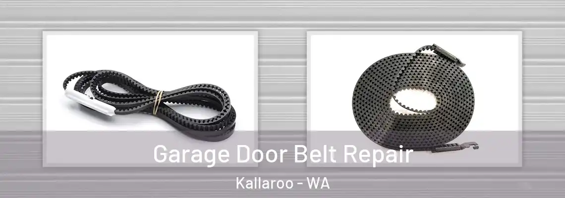 Garage Door Belt Repair Kallaroo - WA