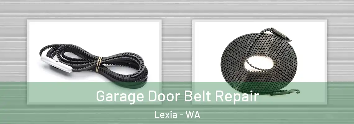 Garage Door Belt Repair Lexia - WA