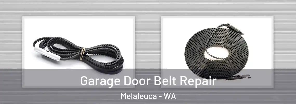 Garage Door Belt Repair Melaleuca - WA