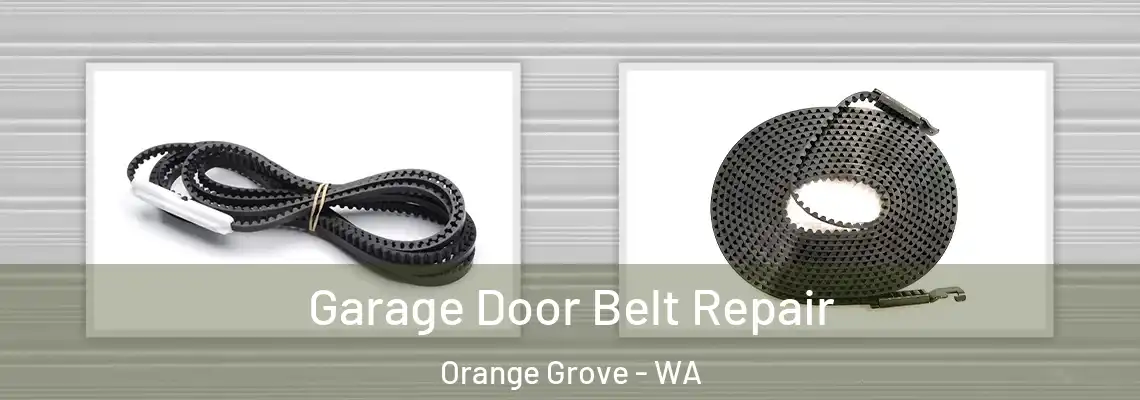 Garage Door Belt Repair Orange Grove - WA