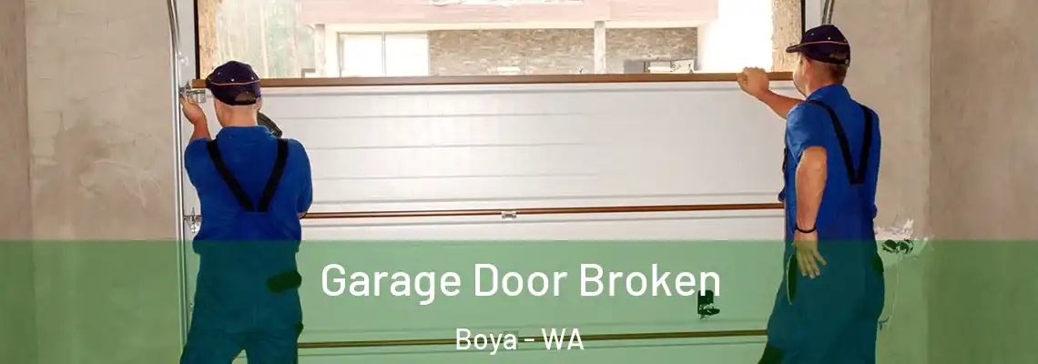 Garage Door Broken Boya - WA