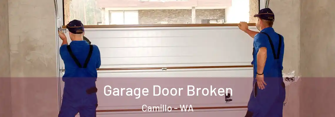 Garage Door Broken Camillo - WA
