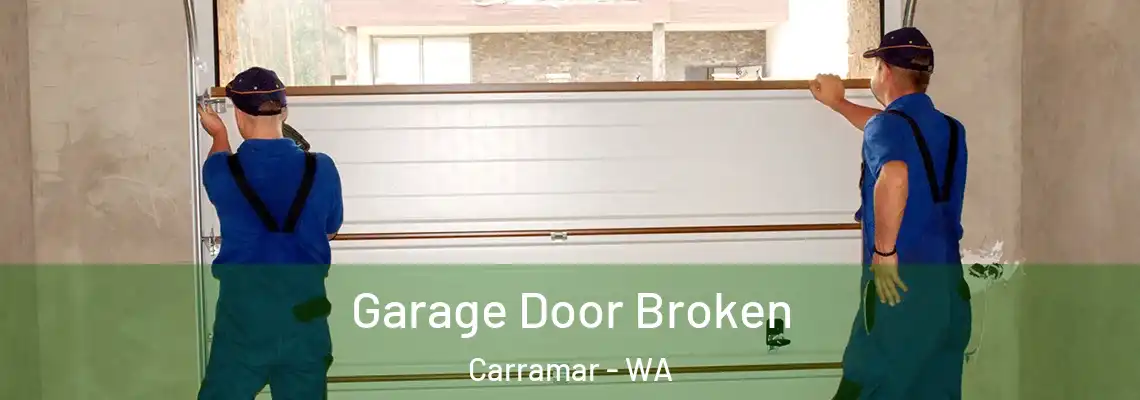 Garage Door Broken Carramar - WA