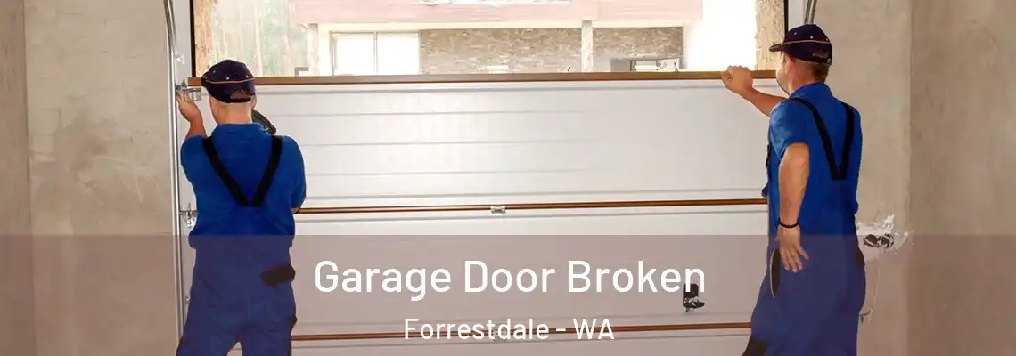  Garage Door Broken Forrestdale - WA