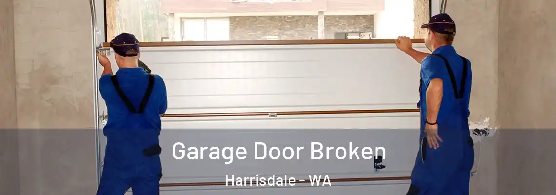 Garage Door Broken Harrisdale - WA