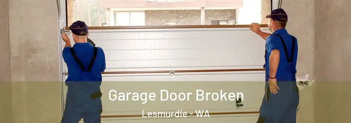 Garage Door Broken Lesmurdie - WA