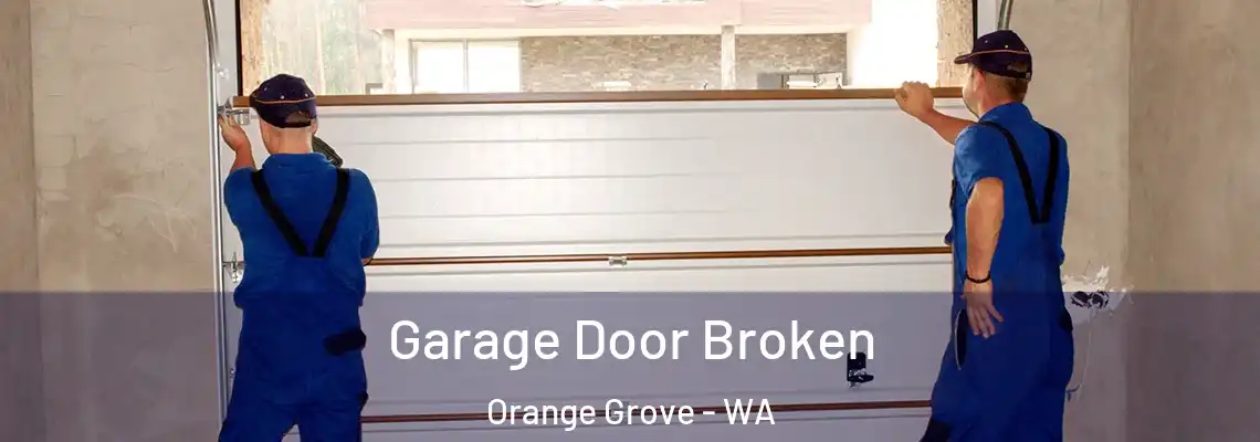  Garage Door Broken Orange Grove - WA