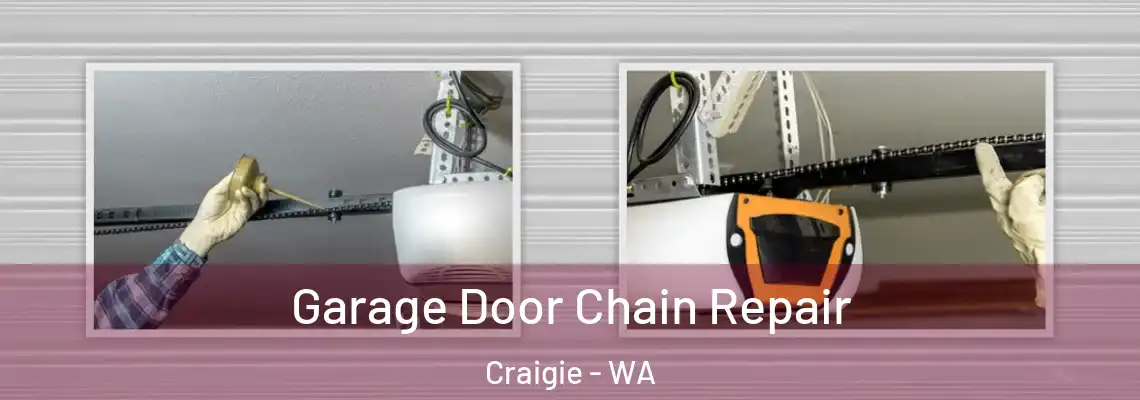  Garage Door Chain Repair Craigie - WA