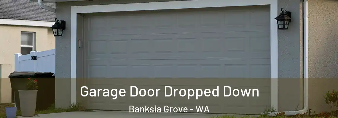 Garage Door Dropped Down Banksia Grove - WA