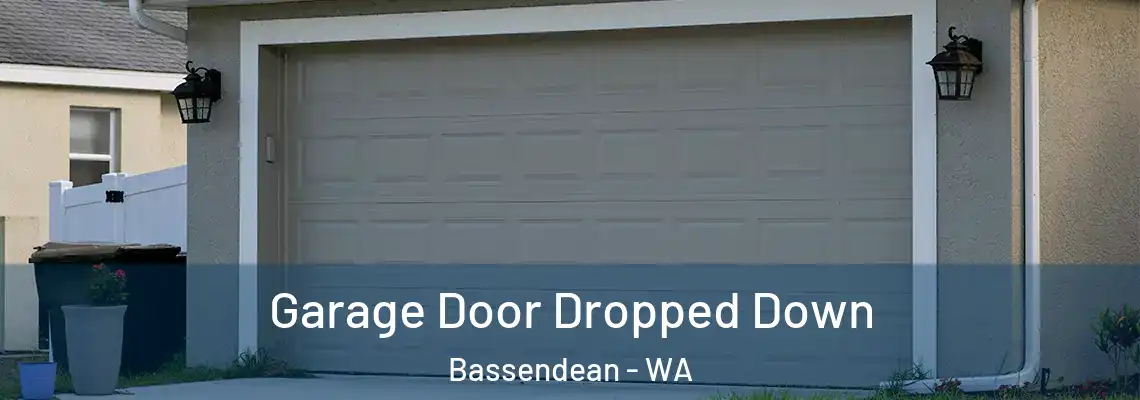 Garage Door Dropped Down Bassendean - WA