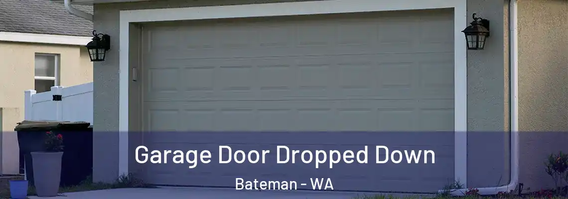 Garage Door Dropped Down Bateman - WA