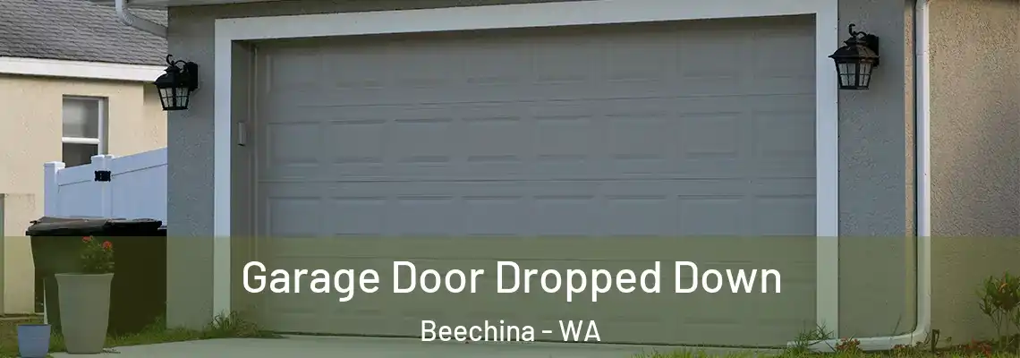 Garage Door Dropped Down Beechina - WA