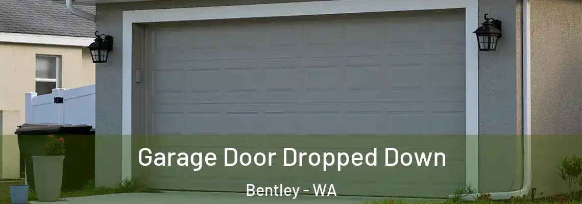  Garage Door Dropped Down Bentley - WA
