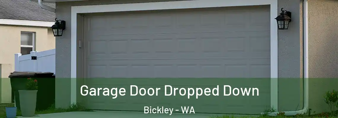 Garage Door Dropped Down Bickley - WA