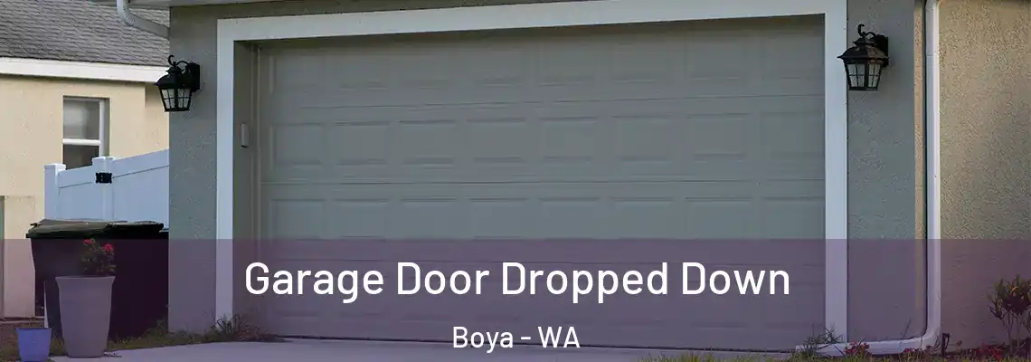 Garage Door Dropped Down Boya - WA