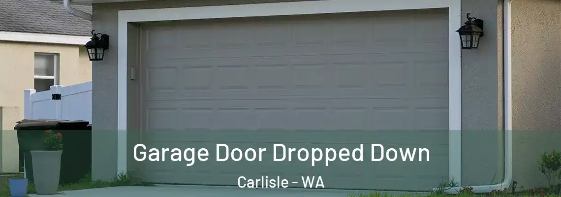 Garage Door Dropped Down Carlisle - WA