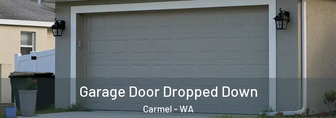 Garage Door Dropped Down Carmel - WA