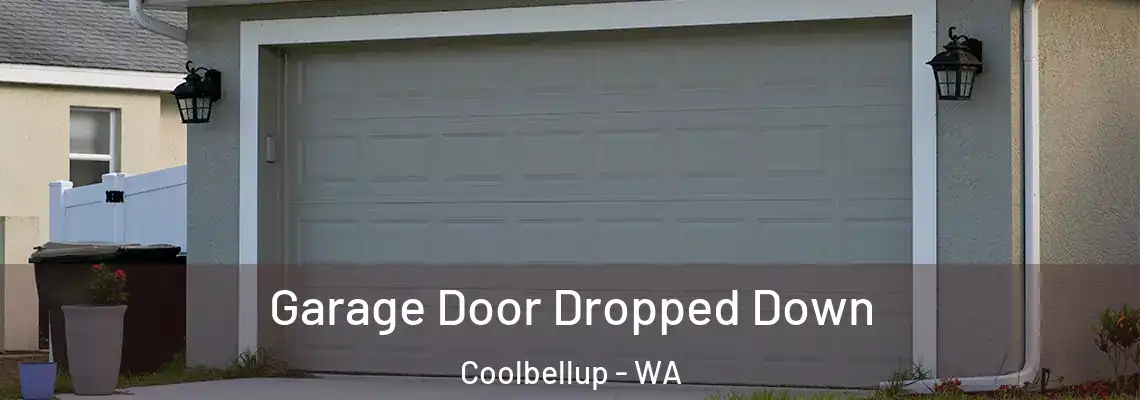  Garage Door Dropped Down Coolbellup - WA