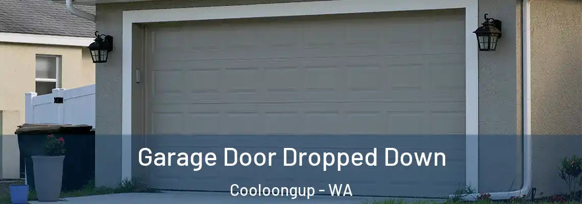 Garage Door Dropped Down Cooloongup - WA
