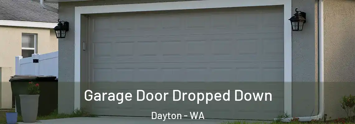 Garage Door Dropped Down Dayton - WA