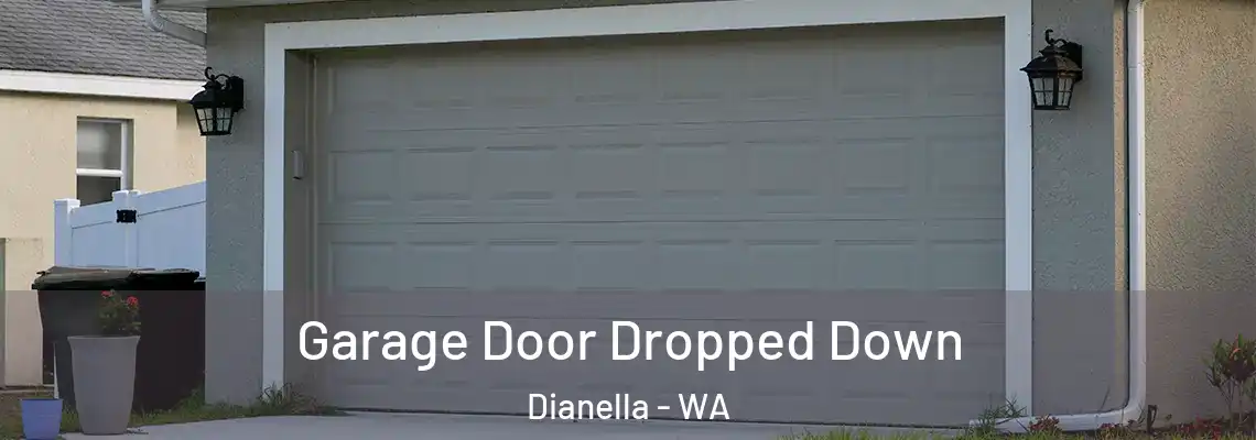 Garage Door Dropped Down Dianella - WA