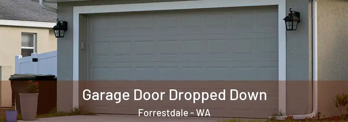 Garage Door Dropped Down Forrestdale - WA