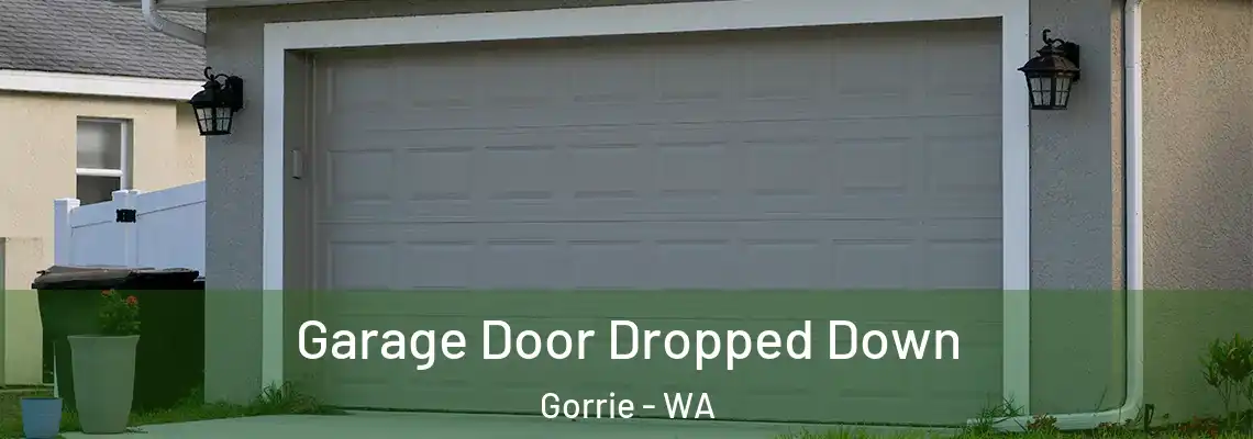 Garage Door Dropped Down Gorrie - WA