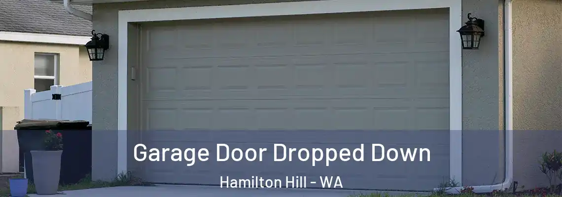 Garage Door Dropped Down Hamilton Hill - WA