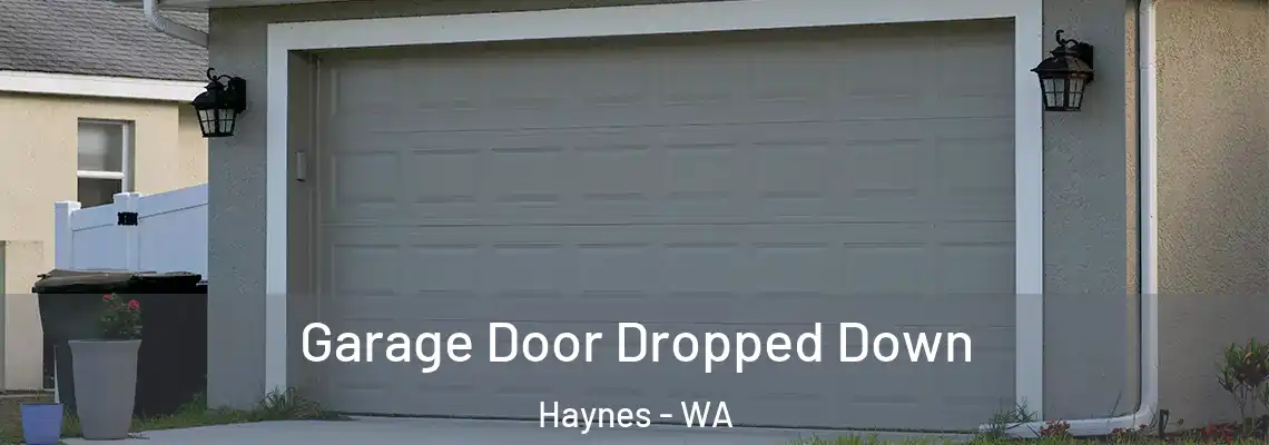 Garage Door Dropped Down Haynes - WA