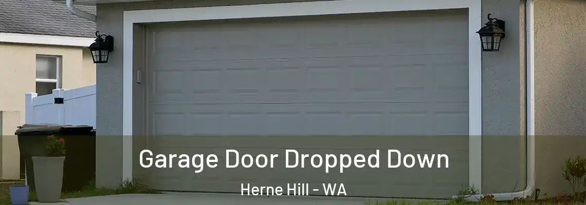 Garage Door Dropped Down Herne Hill - WA