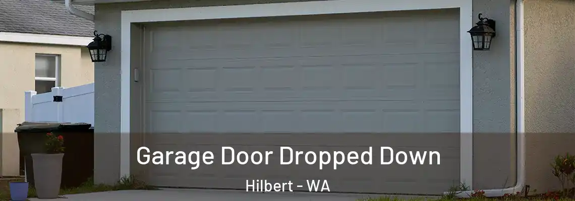 Garage Door Dropped Down Hilbert - WA