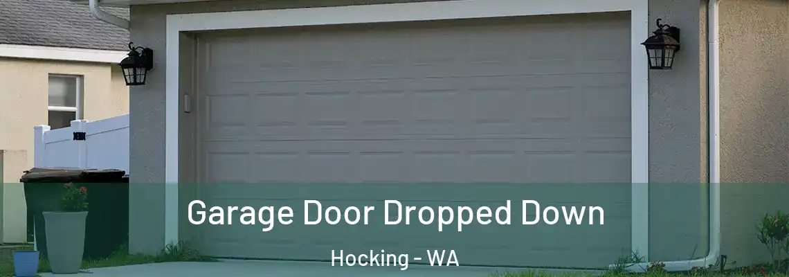 Garage Door Dropped Down Hocking - WA
