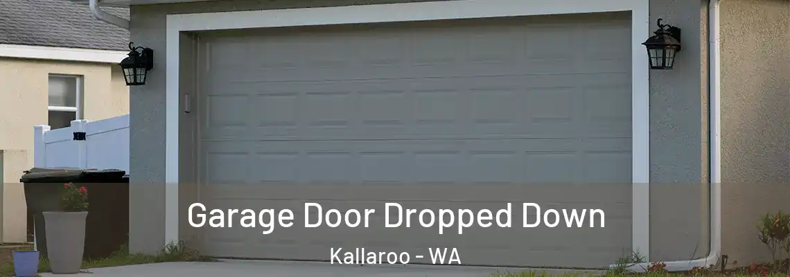 Garage Door Dropped Down Kallaroo - WA