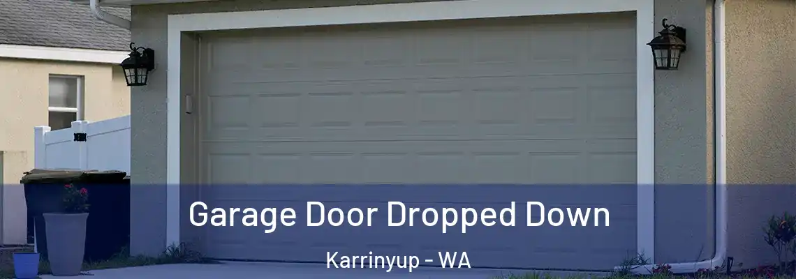 Garage Door Dropped Down Karrinyup - WA