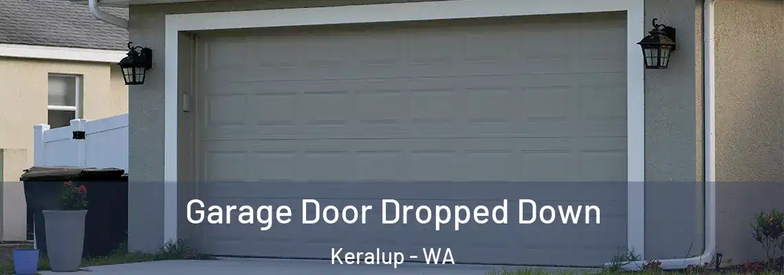  Garage Door Dropped Down Keralup - WA