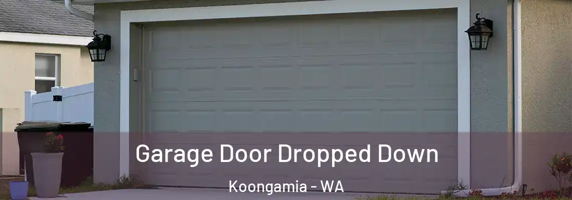 Garage Door Dropped Down Koongamia - WA