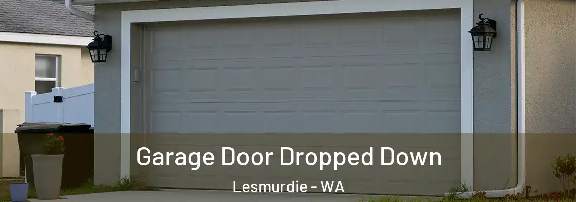Garage Door Dropped Down Lesmurdie - WA