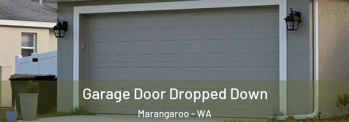  Garage Door Dropped Down Marangaroo - WA