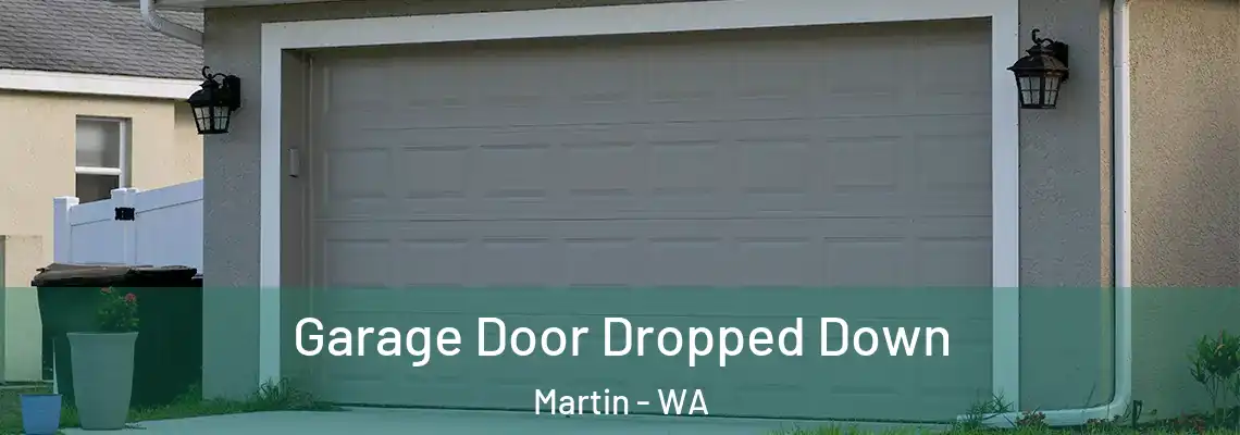 Garage Door Dropped Down Martin - WA