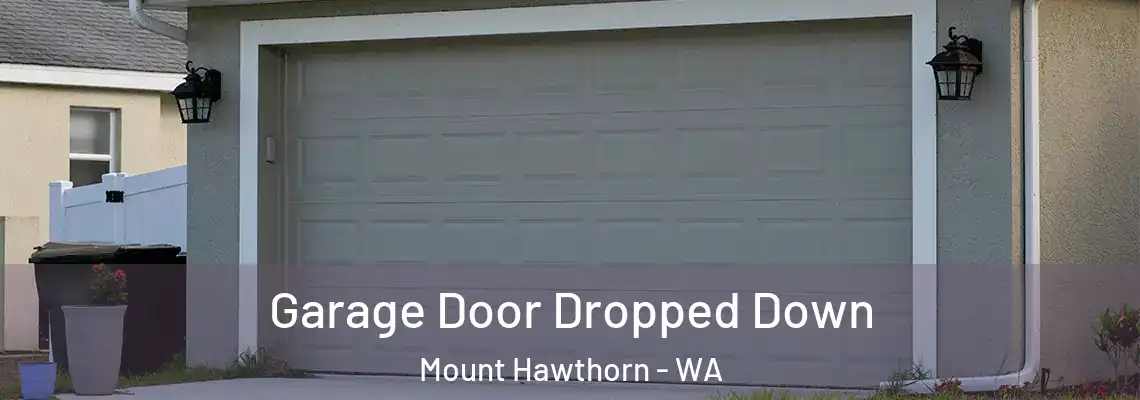 Garage Door Dropped Down Mount Hawthorn - WA