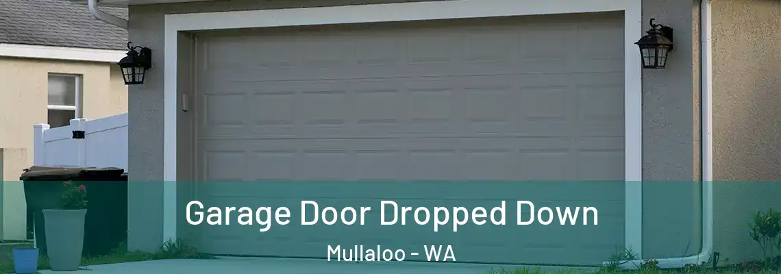 Garage Door Dropped Down Mullaloo - WA