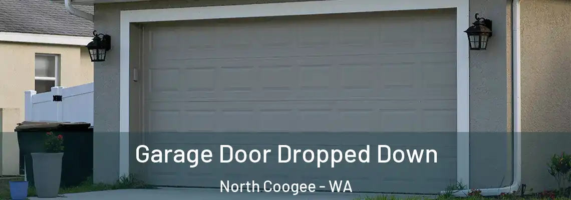 Garage Door Dropped Down North Coogee - WA