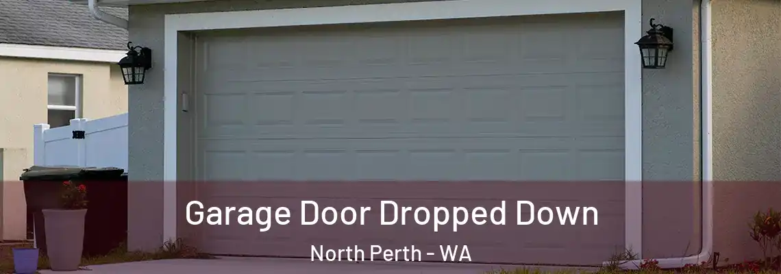 Garage Door Dropped Down North Perth - WA