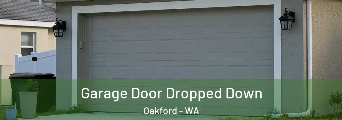 Garage Door Dropped Down Oakford - WA