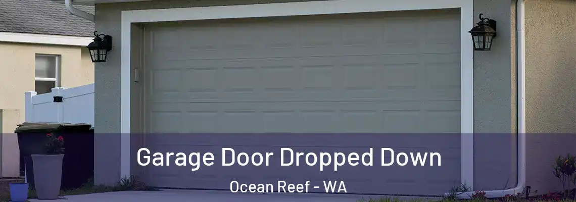 Garage Door Dropped Down Ocean Reef - WA