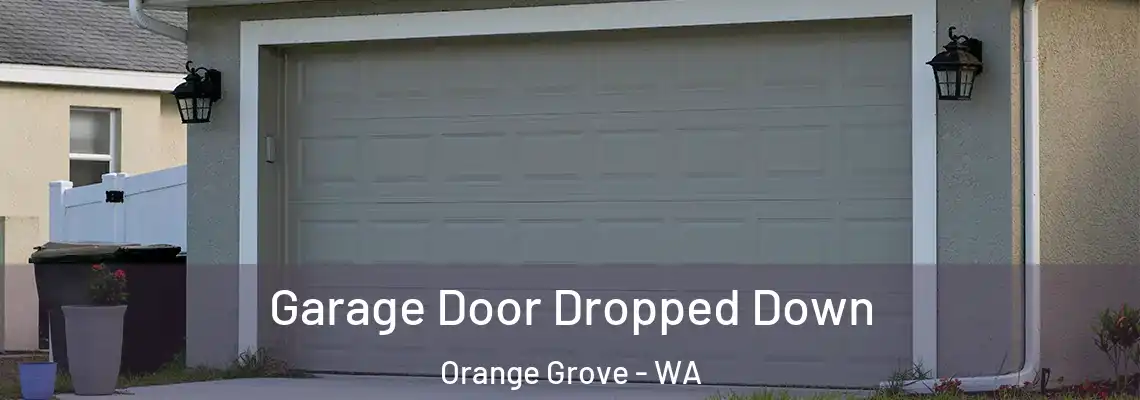  Garage Door Dropped Down Orange Grove - WA