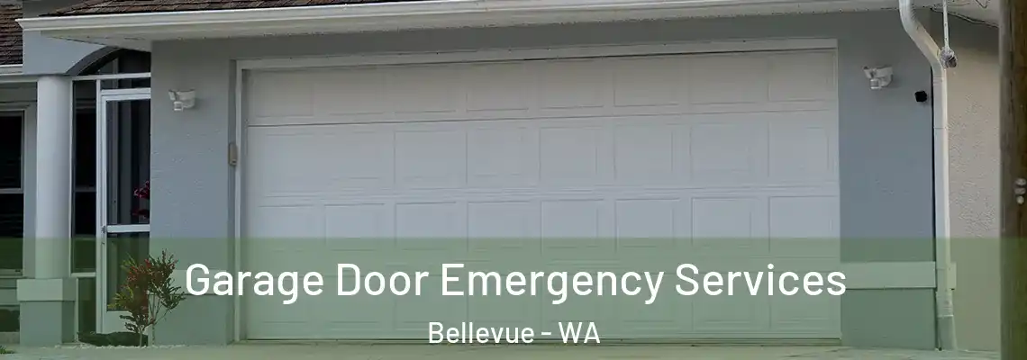 Garage Door Emergency Services Bellevue - WA